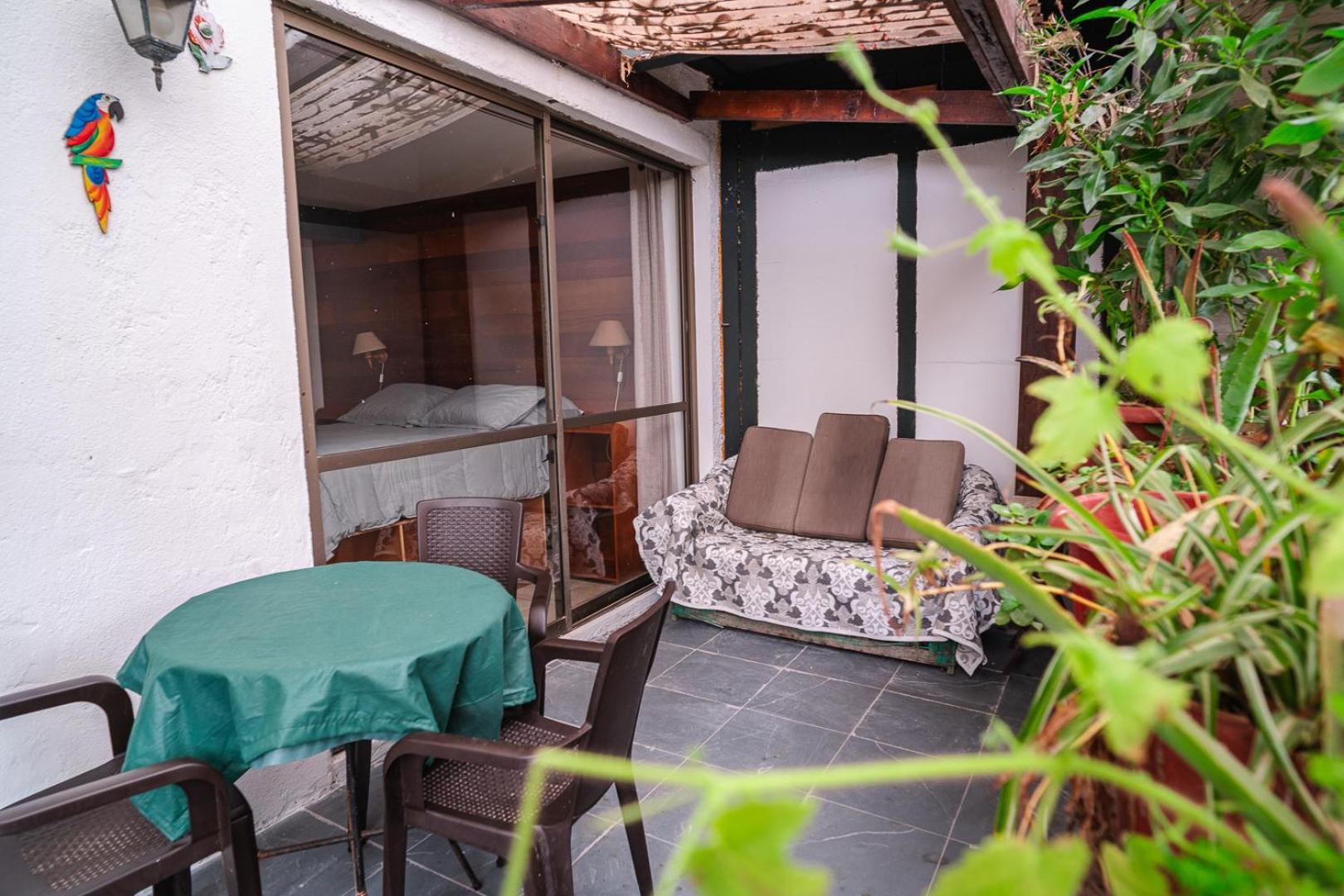 Cabanas El Bosque Maitencillo  Eksteriør bilde